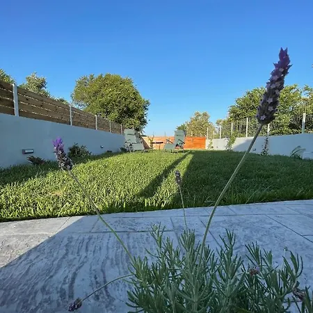 Apartment Averto House